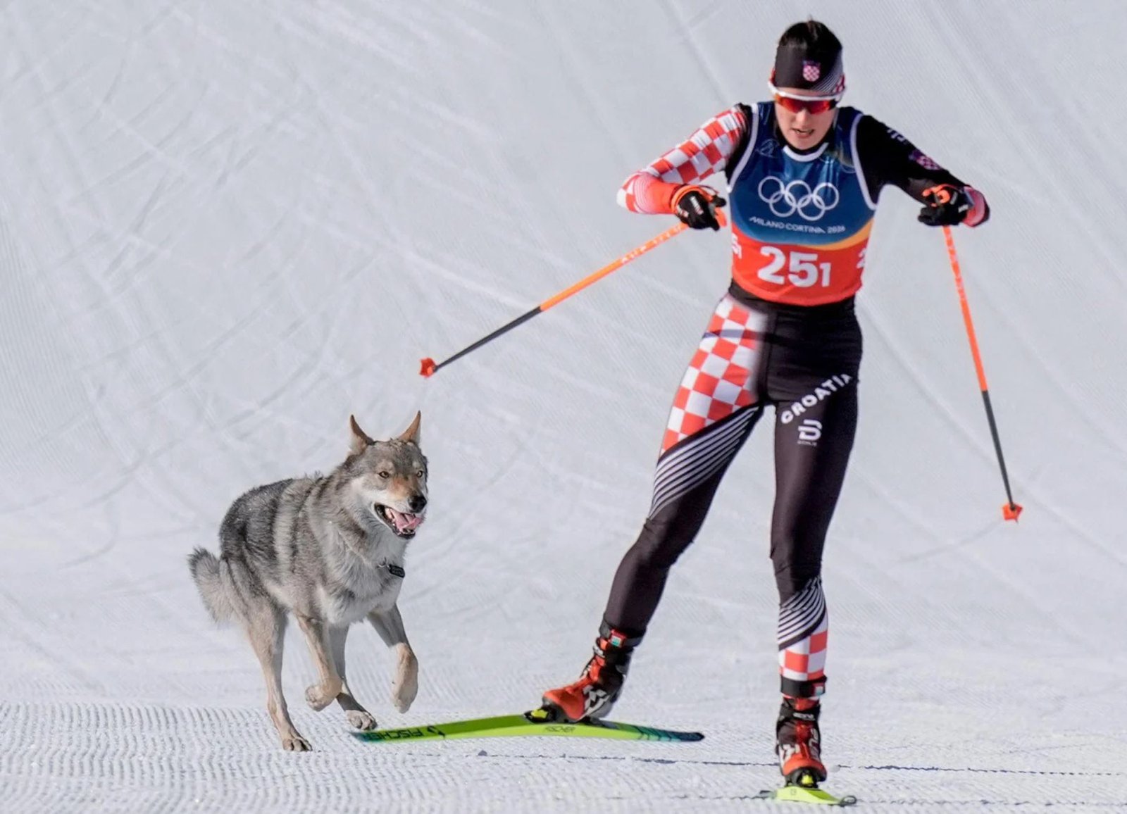 Nazgul the wolfdog runs alongside a cross-country skier at the Olympic Winter Games Milano Cortina 2026.