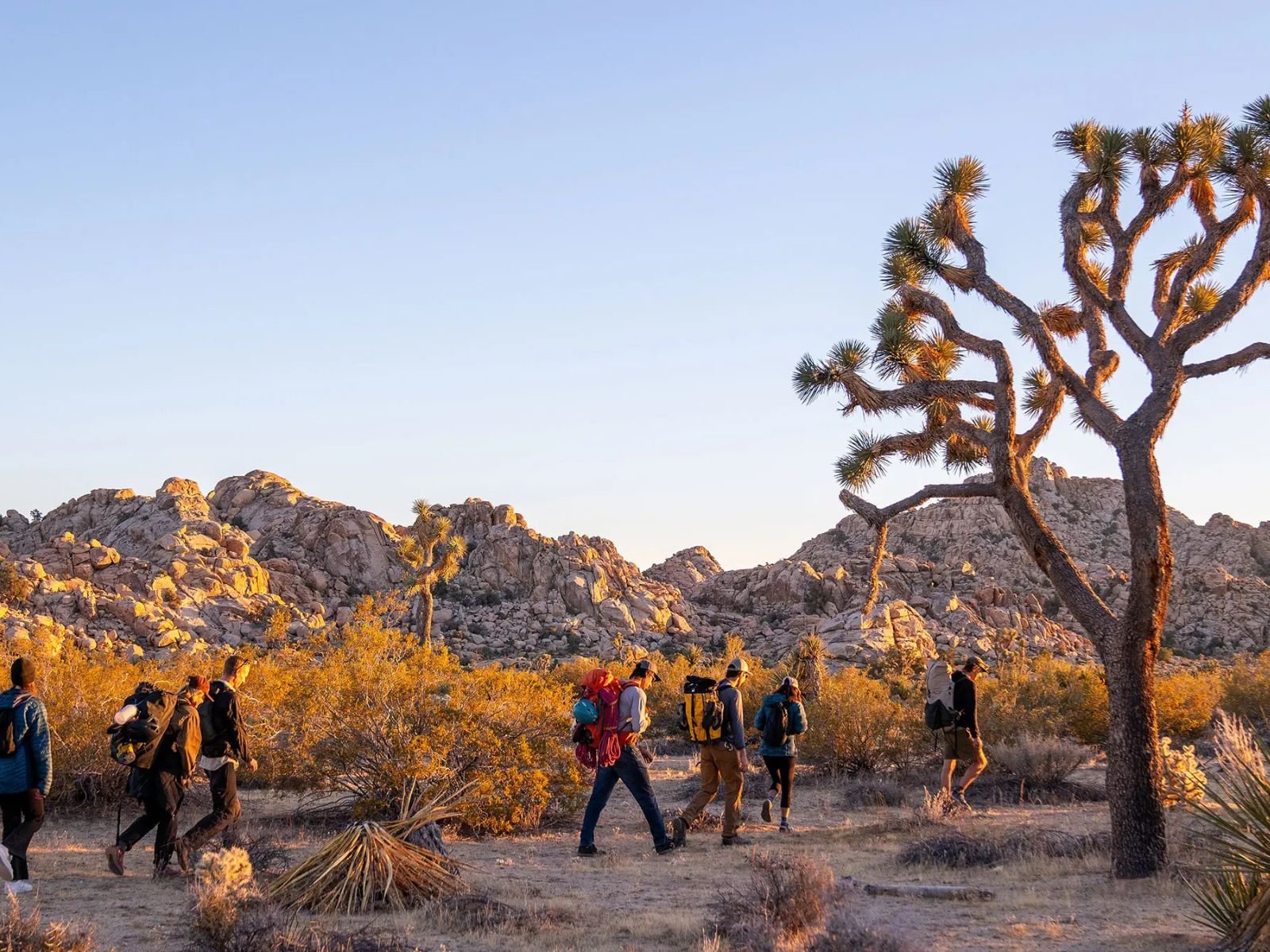 Joshua Tree National Park