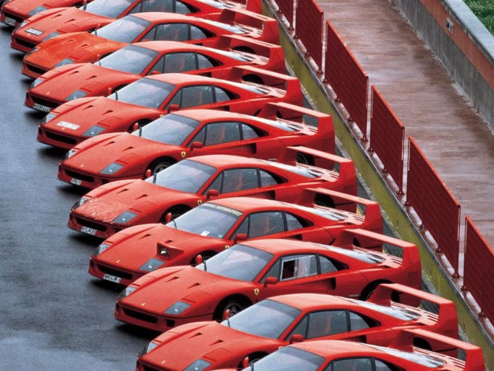 Ferraris F40 Lined Up